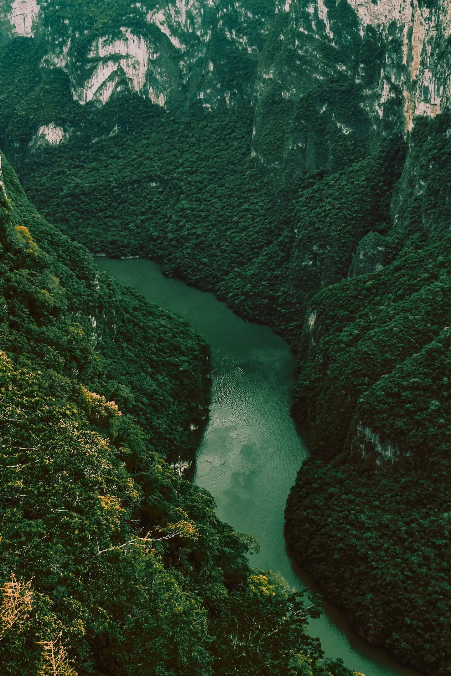 Río verde encajonado entre dos laderas altas cubiertas de selva densa